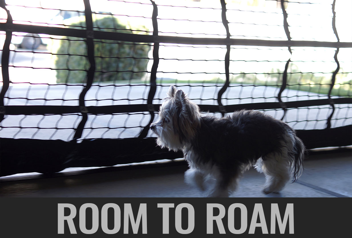 Unleashed Dog House Kennel Amazon Dog Kennel